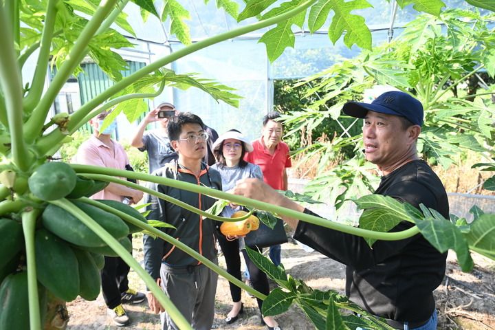 两岸一家亲 乡村共振兴