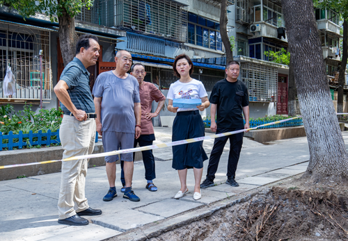 王小雨（右二）与政协委员、居民代表就小区管道安装事宜现场协商。 （图片由受访者提供）