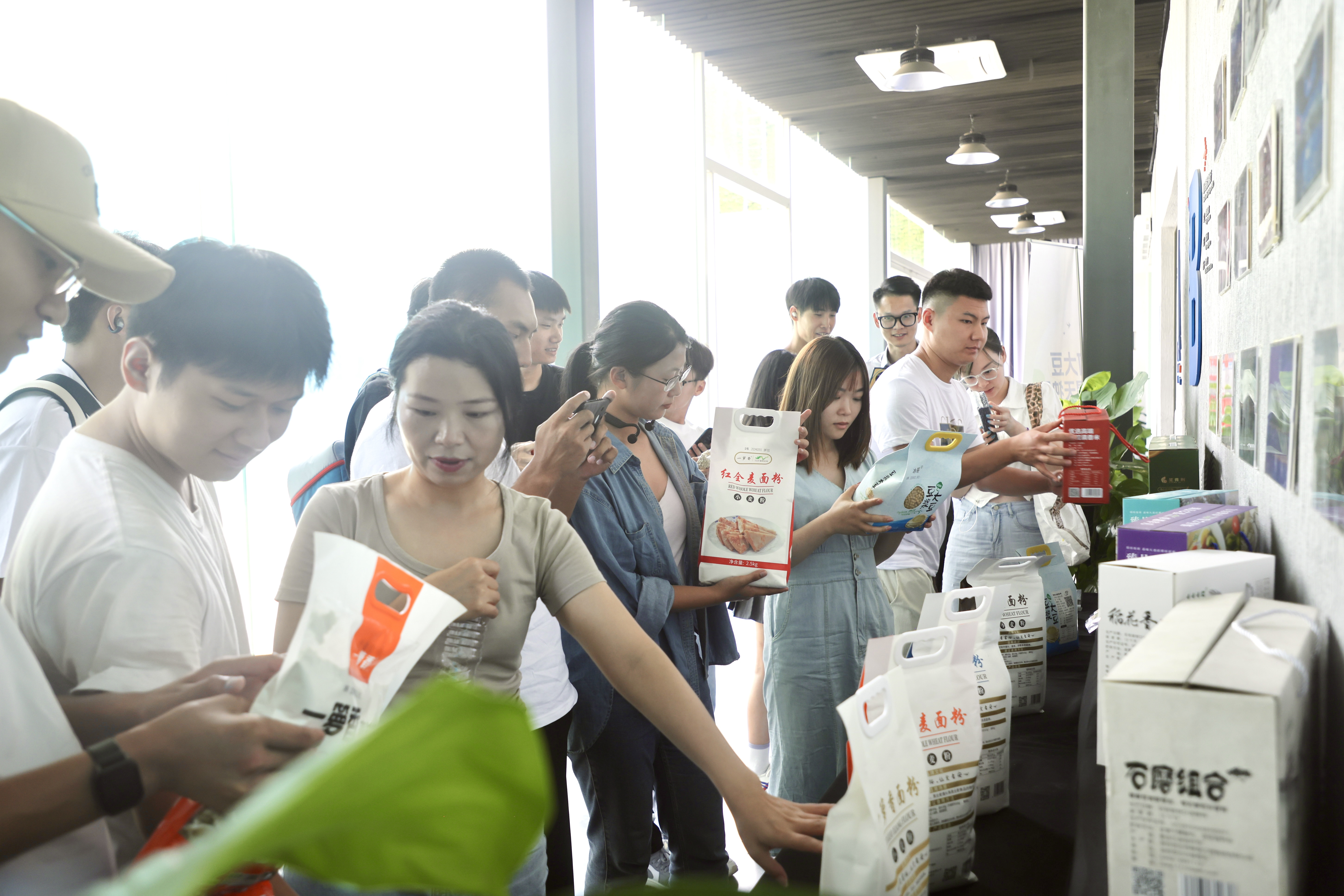 “讷河大豆”踏上品牌化发展快车道