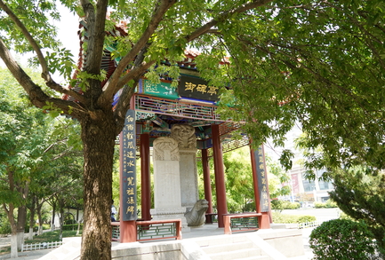 大运河武清段：一河碧水绘就乡村振兴新图景