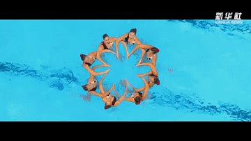 4444c4245b7e2c4cf 4444c4245b7e2c4cf