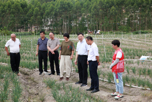 地方政协——调研乡村特色产业(5072561)-20240801090729
