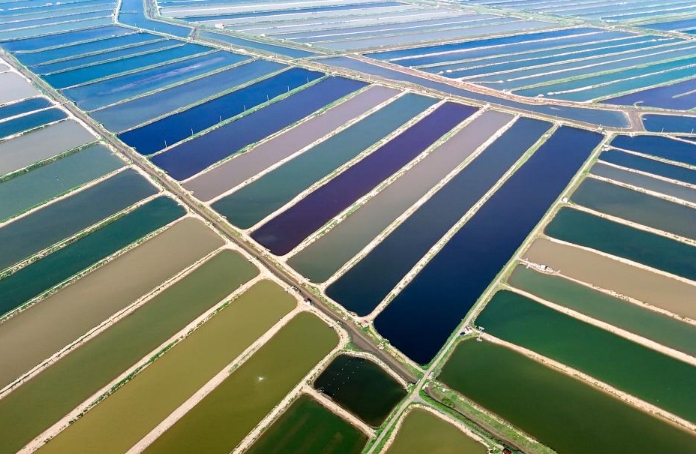 “海上田园”景如画