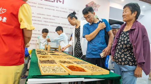 微信截图_20240823190433