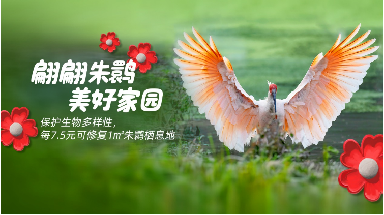 菲仕兰发起捐步公益活动守护朱鹮家园