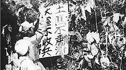 肃清大别山区武装匪特的战斗