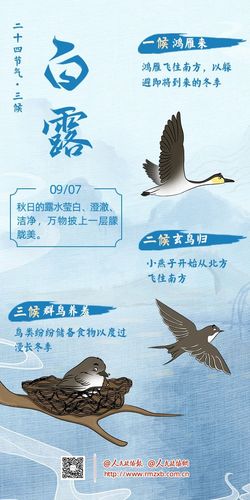 微信图片_20240920153204