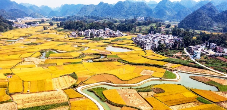 山乡秋景