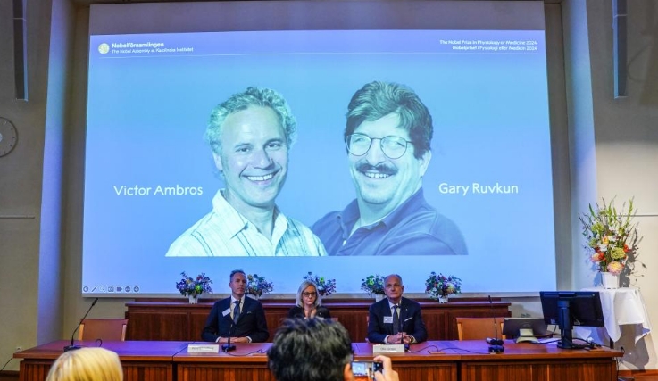 两名科学家获2024年诺贝尔生理学或医学奖