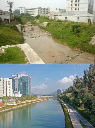 _茅洲河配图(分离图)715164(5485461)-20241011142830