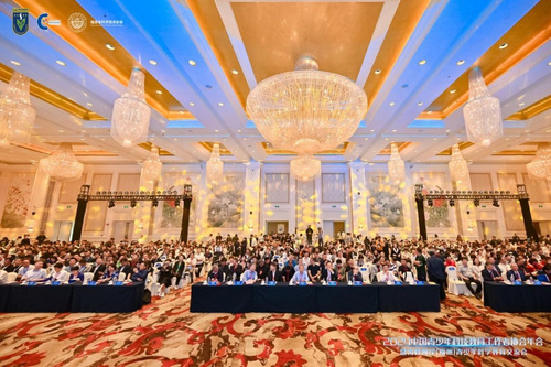 微信截图_20241014111956