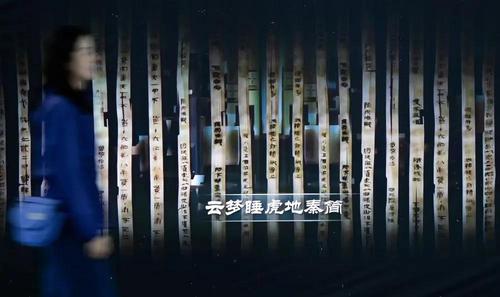 2024年4月15日，参观者在云梦县博物馆睡虎地秦简展厅参观。新华社记者 肖艺九 摄