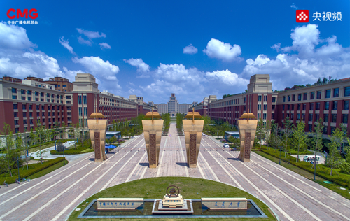 图片5
