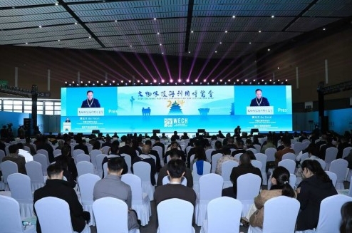微信截图_20241129165017