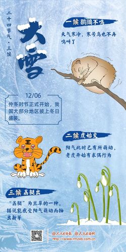 大雪海报