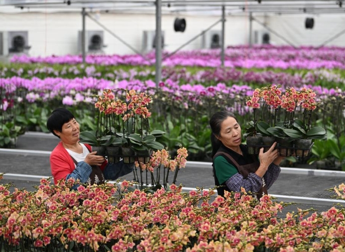 花香果俏忙上市