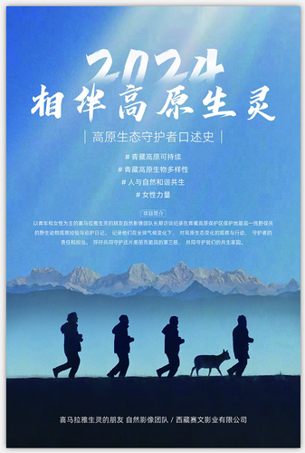 微信截图_20241230093212