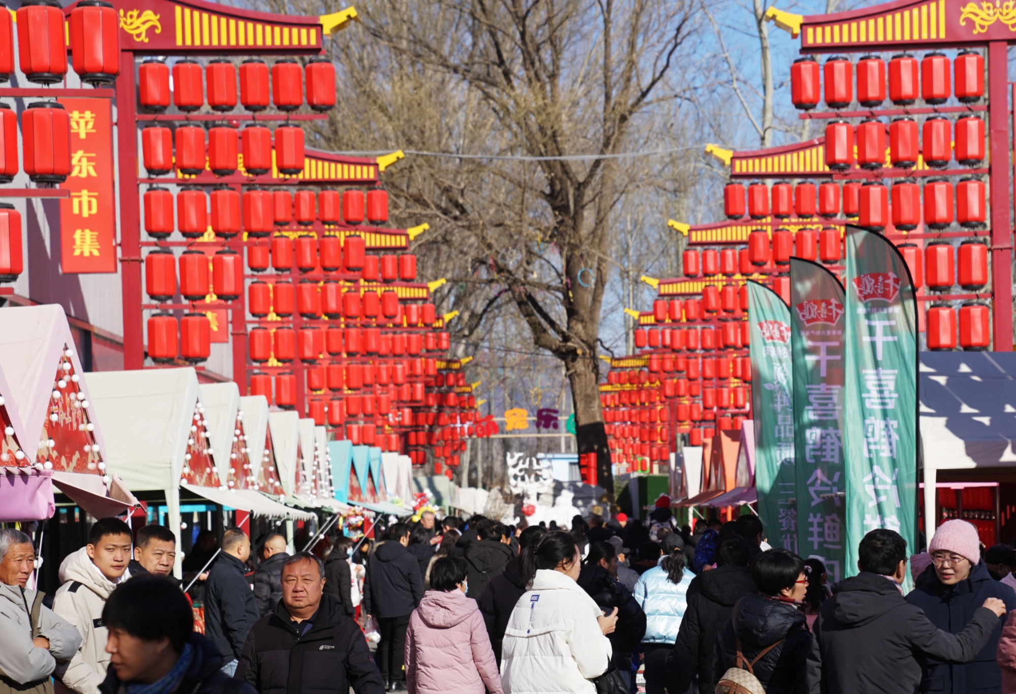 京津冀特产亮相北京平谷年货节