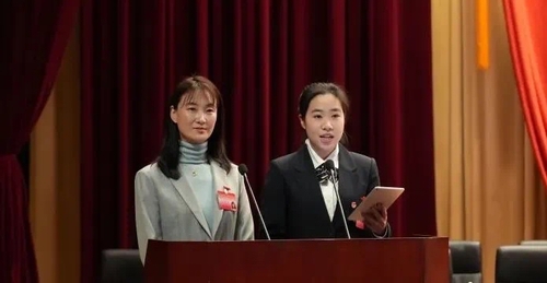 大小委员