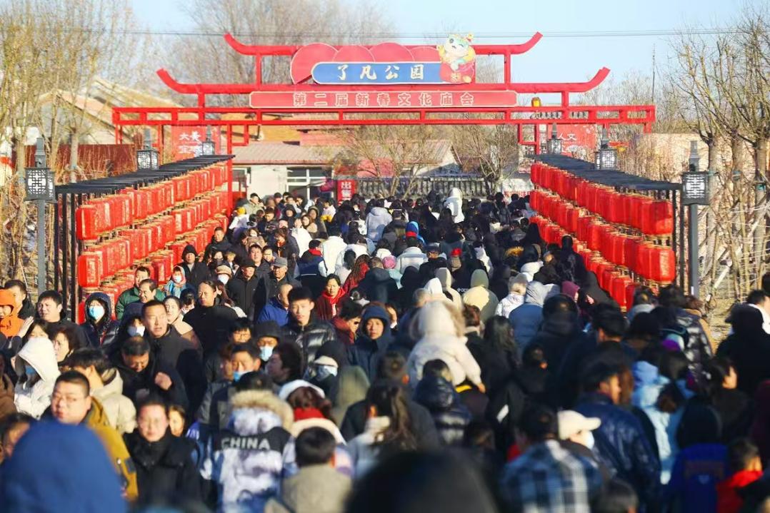 天津宝坻区了凡公园新春文化庙会“破圈走红”