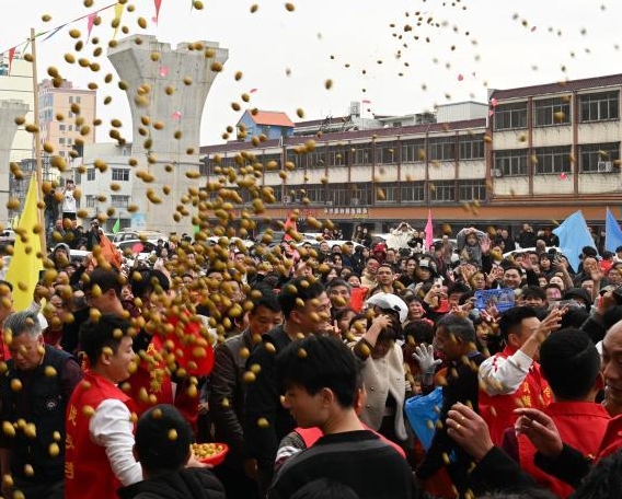 广东潮州：“撒橄榄”送祝福