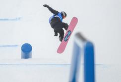 亚冬会｜中国队刘昊宇获单板滑雪男子坡面障碍技巧银牌