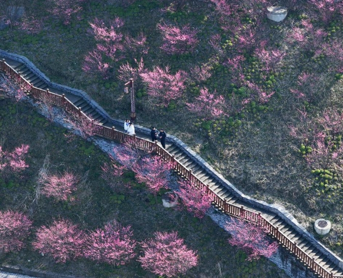 峡江春来早