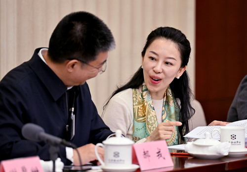 在文艺界小组讨论会间隙，郝戎委员（左）和(6582557)-20250306171123