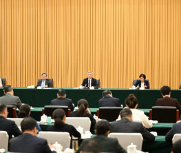 李希参加共青团和青联、总工会、妇联界委员联组会
