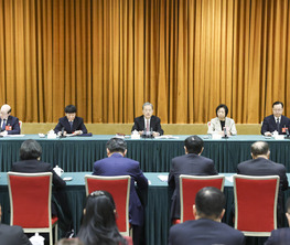 赵乐际参加致公党、侨联、对外友好界委员联组会