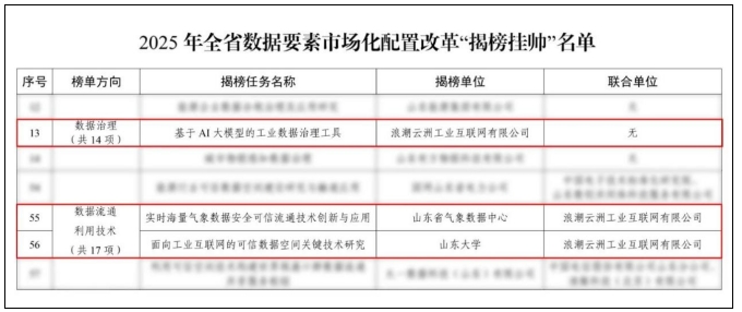 2025年山东省数据要素市场化配置改革“揭榜挂帅”名单公布