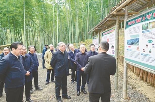 让青山有价，绿水增值 