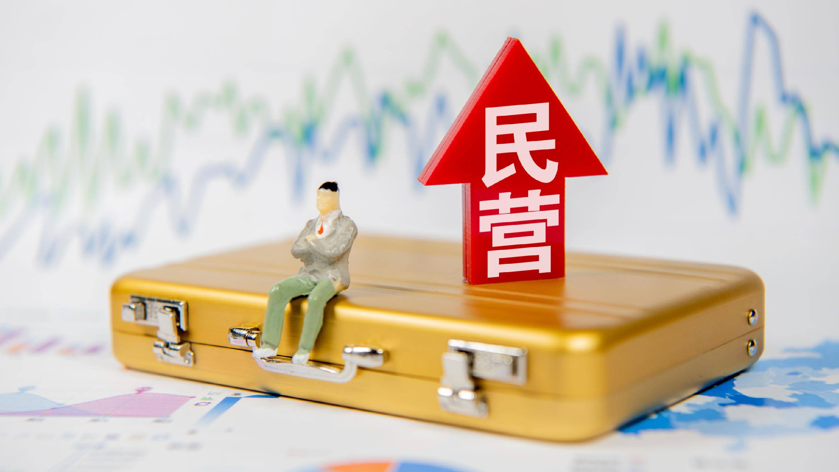 助力民营企业在“大有可为”中成就“大有作为”