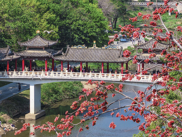 新华全媒＋丨穿越时光的浪漫——当古建邂逅(6838615)-20250324150944