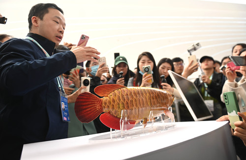 图为展出的金龙鱼型仿生机器人，该技术先后(6869598)-20250327094540