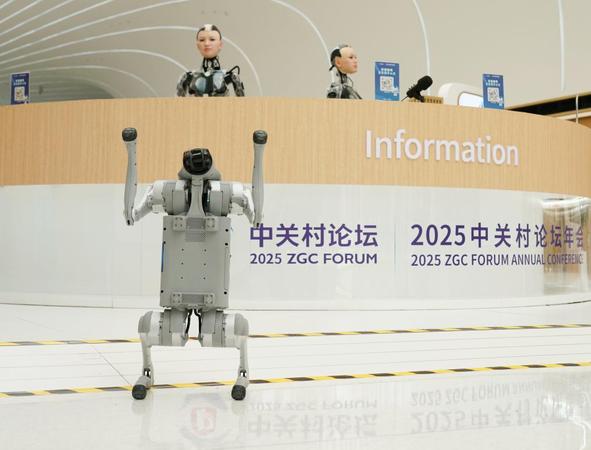 20250327e256683d8421450ebf9f501cfdcbb95a_e5392dae457a4a2882c6fd3182cdb9a0