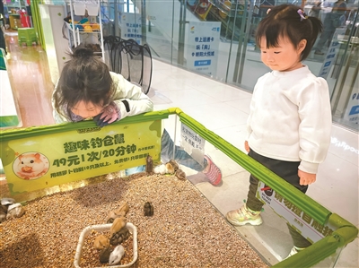 “异宠”不可随意宠
