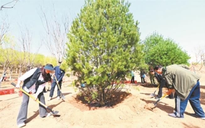 全国政协机关开展义务植树活动