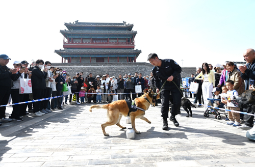 微信截图_20250415173132