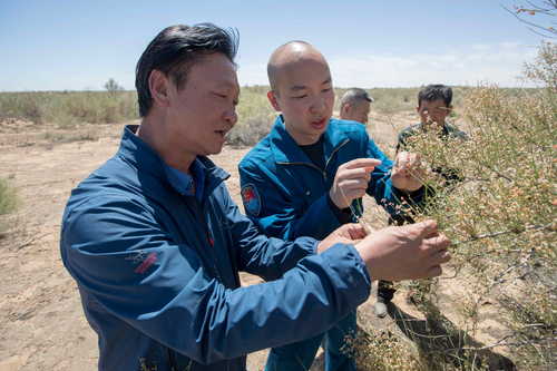 （416配稿）刘宏义：扎根戈壁，铸就绿色(7011941)-20250421085901