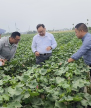 提案办理有成效丨加强种业原始创新 保障国家粮食安全