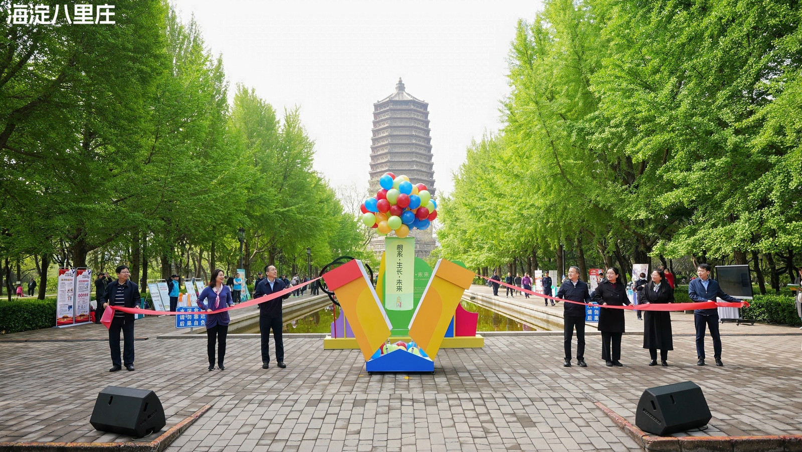 一步一生长！北京市海淀区八里庄街道“根系·生长·未来”主题文化活动圆满收官