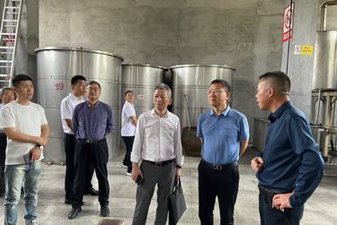 温州市政协组织开展温州历史经典酒产业发展调研