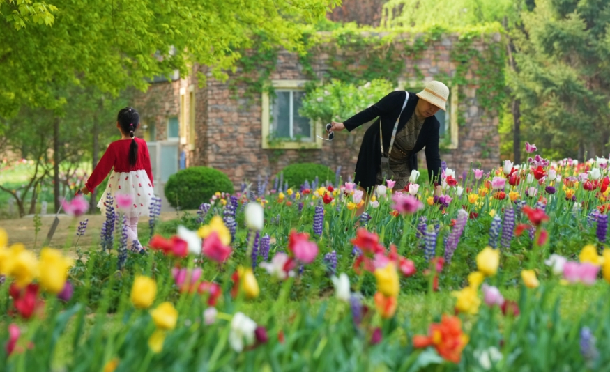 北京国际鲜花港：“赏花+”激活花样经济