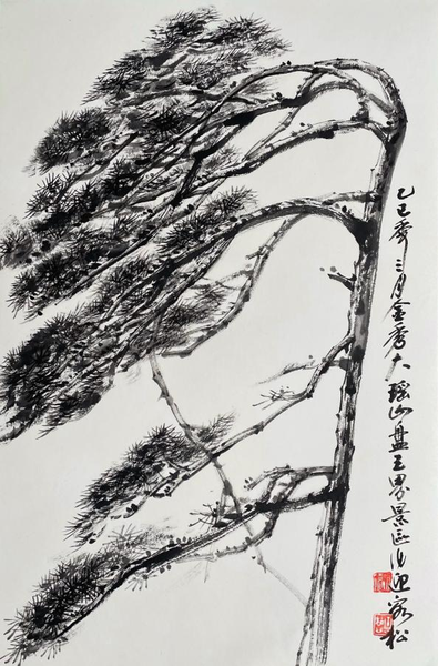 图片15