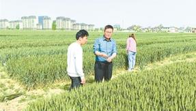 胡林海：新农人的兴农事