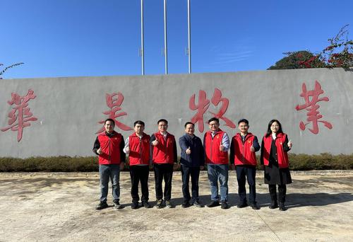 图片8