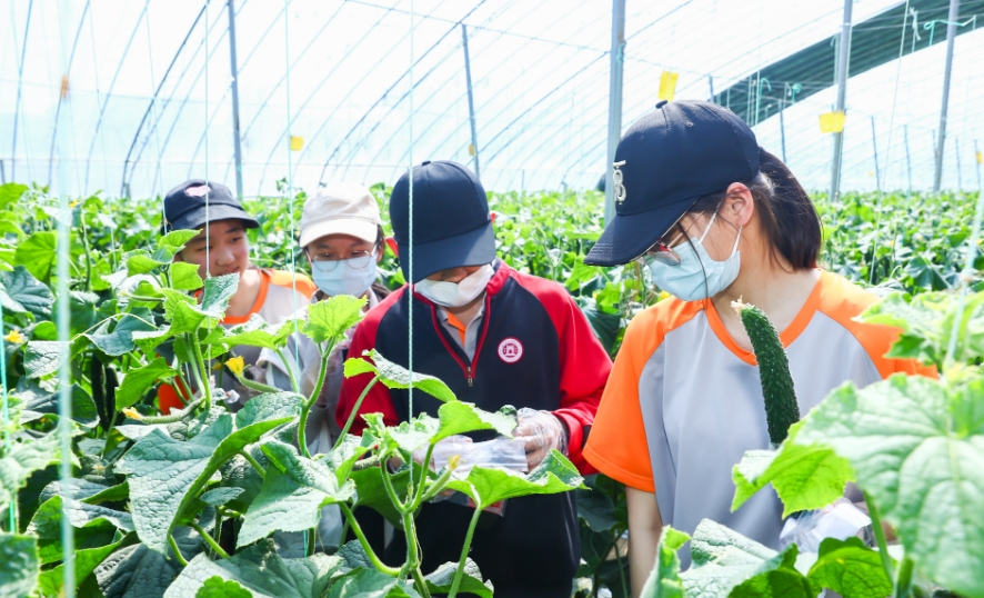“春耕践学 劳育芳华”学农实践活动开营