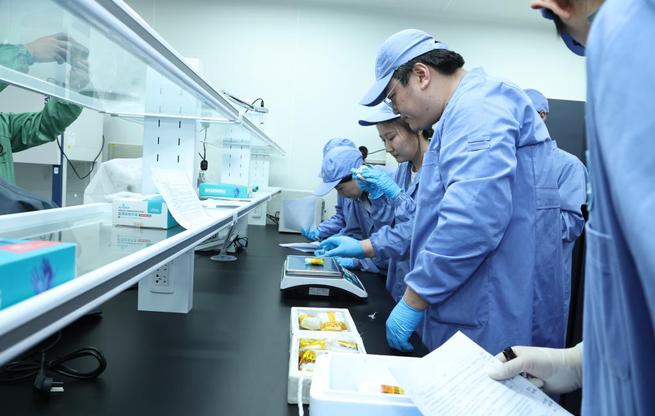 中国空间站第八批科学实验样品顺利返回