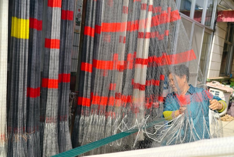 滨州沾化：渔网“织”出致富路